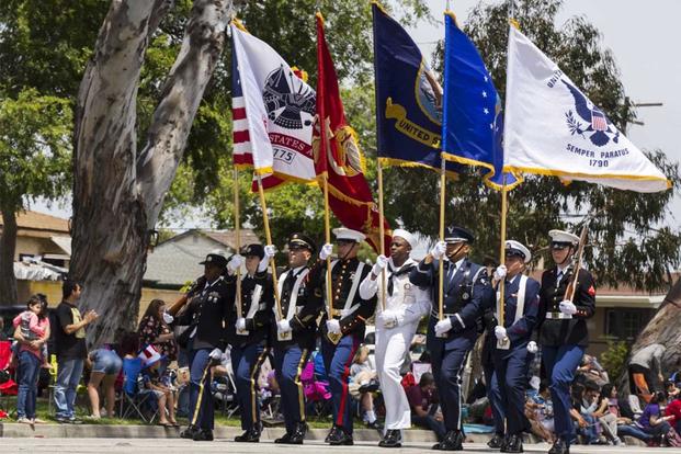 Military ranks colors parade.